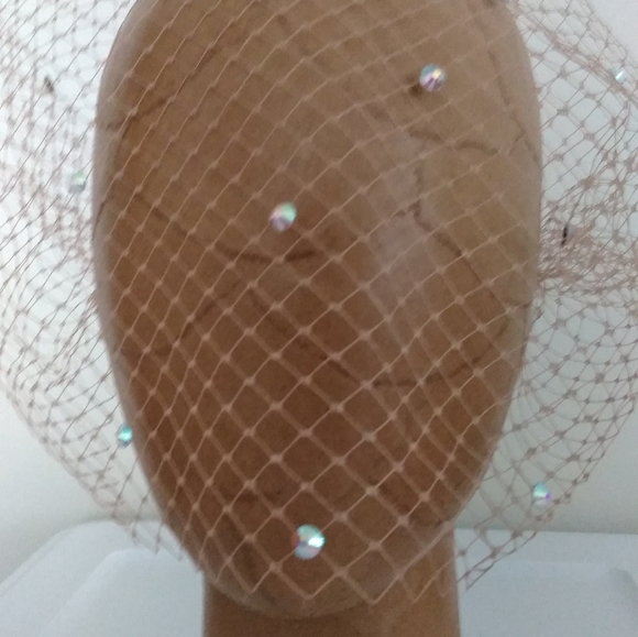 Irridescent crystal embellished Nude Birdcage veil main image 4